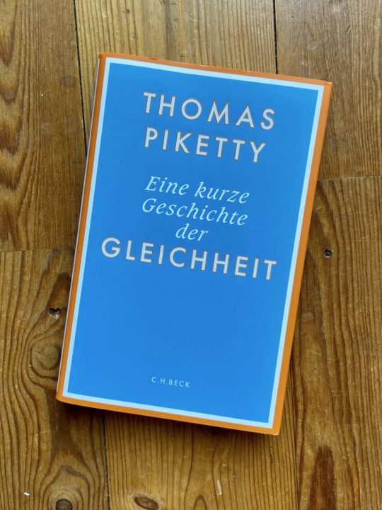 Thomas Piketty Eine kurze Geschichte der Gleichheit Bücher
